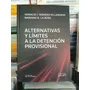 Alternativas Y Límites A La Detención Provisional La Rosa