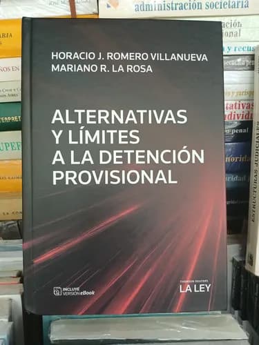Alternativas Y Límites A La Detención Provisional La Rosa