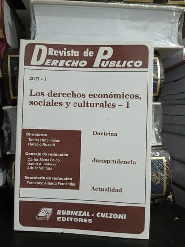 Rddp - Los Derechos Económicos, Sociales Y Culturales Tomo I