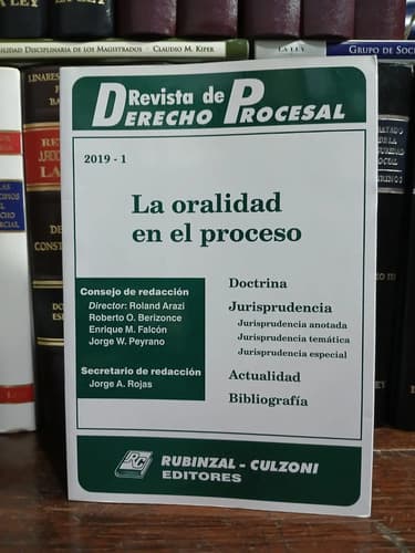 Rddp - Los Principios Procesales 2020-1