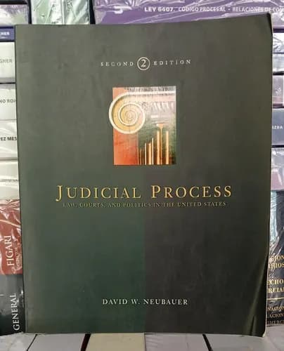 Judicial Process / David Neubauer