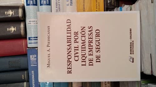 Responsabilidad Civil Liquidación De Seguros / Piedecasas