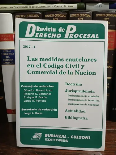Rddp - Medidas Cautelares En Codigo Civil Y Comercial Nacion