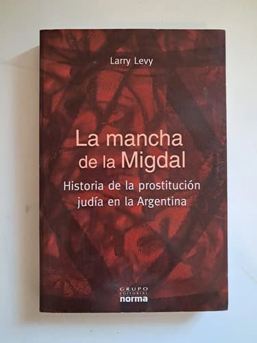 La Mancha De La Midgal / Larry Levy