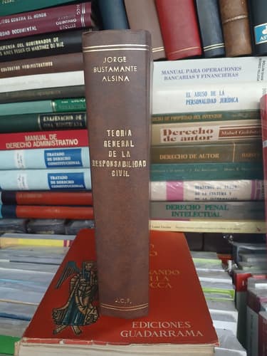 Teoria General De La Responsabilidad Civil Bustamante Alsina