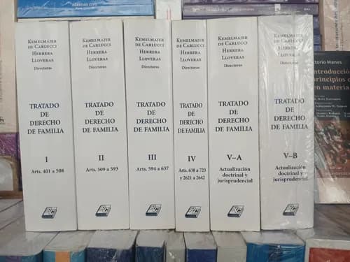 Kemelmajer De Carlucci / Tratado De Derecho De Familia 6 Tms