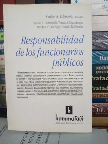 Echevesti / Responsabilidad De Los Funcionarios Públicos