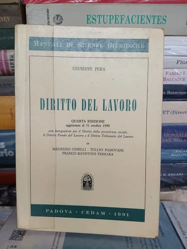 Diritto Del Lavoro / Giuseppe Pera