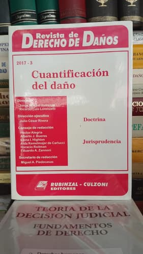 Cuantificación Del Daño - Rdd 2017 3