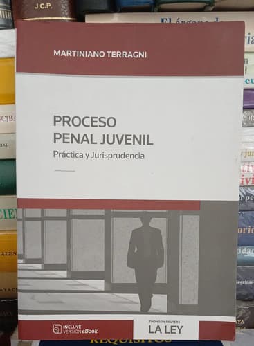 Proceso Penal Juvenil / Marco Terragni