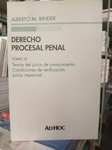 Binder / Derecho Procesal Penal Tomo Vi Rústica