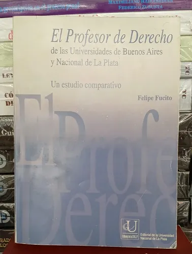 El Profesor De Derecho / Felipe Fucito