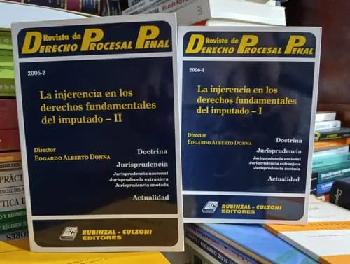 Rdpp Injerencia Derechos Fundamentales Imputado 2 Ts / Donna