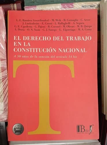 El Derecho Del Trabajo En Constitucion Nacional /l.e. Ramire