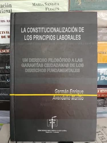 Constitucionalización Principios Laborales / Avendaño