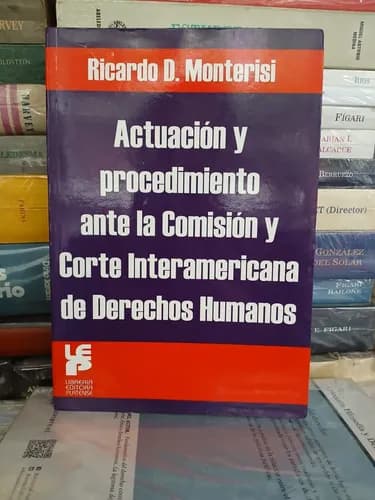 Actuación Ante La Corte Interamericana / Monterisi