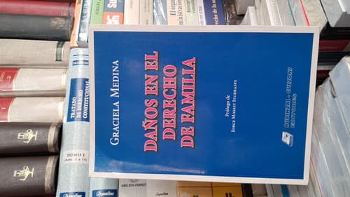 Daños En El Derecho De Familia / Graciela Medina